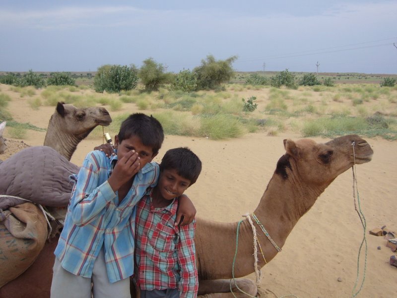 Travel - India - Rajasthan - Desert Camel Trip - Meet The Camels